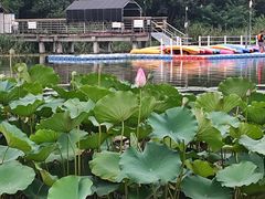 -南翔镇银翔湖公园