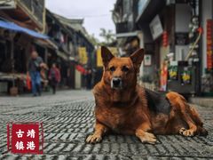 -靖港古镇