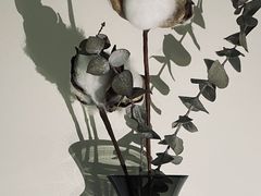 -L.C FLORA花予你(城西银泰城店)