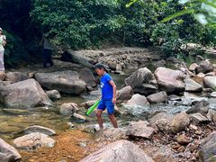 -广州白江湖森林公园