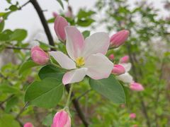 -天津东丽湖风景区