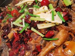 -老板恋上鱼(恒隆广场店)