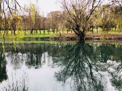 -贵阳市花溪国家城市湿地公园