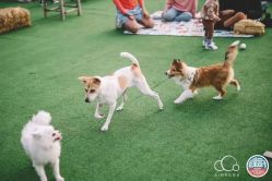 -CASTER跳舞俱乐部