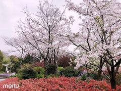 -兰溪青年公园