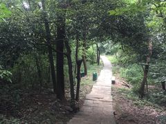 -九曜山