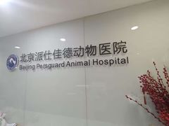 -北京派仕佳德动物医院·超导核磁·CT·神经科·骨科·内外科·急重症管理中心
