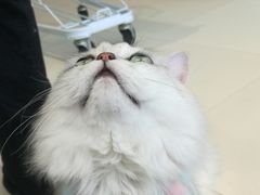 -怪兽屋·羊驼·猫咖·狗咖(俊华广场店)