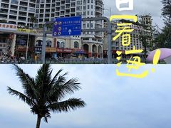 -大梅沙海滨公园