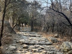 -阳台山自然风景区