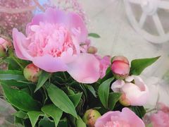 -茶马花街(城西银泰城店)