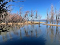 -洱海月湿地公园