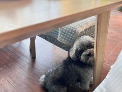 -默迹咖啡馆
