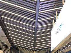 -西沃古尔·拉姆古兰爵士国际机场