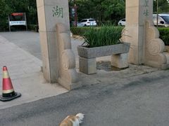 -雨花胜境