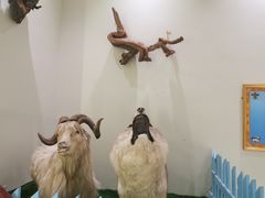 -老阿妈乌海蒙餐馆(锦馨园小区店)