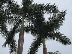 -广州市白云山风景名胜区