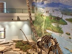 -自贡恐龙博物馆