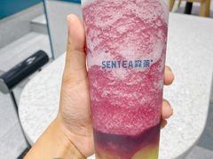 -森茶(湛江万达店)