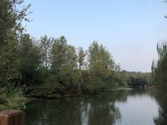 -溱湖国家湿地公园