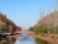 -黄海国家森林公园