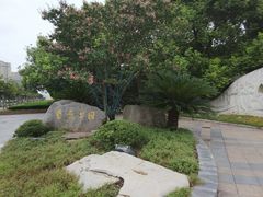 -紫薇公园