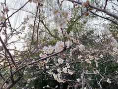 -龙洞风景区-藏龙涧