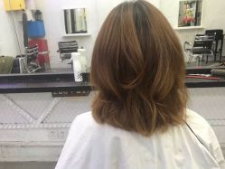 中发-SALON V