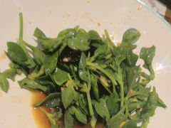 -和源祥·日照菜扛把子(万平口一店)