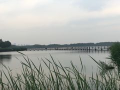 -西青郊野公园