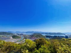 -黄贤森林公园