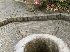 -上海佘山国家森林公园天马山园