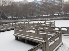 -文瀛公园