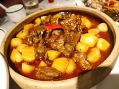 小土豆烧牛腩-刘胖子家常菜·蹄花焖藕(富安街店)