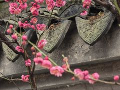 -浙江省博物馆(孤山馆区)