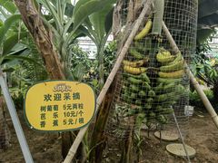 -北戴河集发农业梦想王国