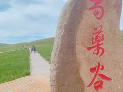-乌拉盖芍药谷景区