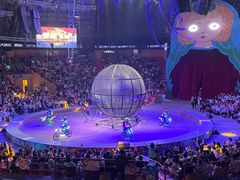 -俄罗斯国家大马戏团