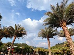 -腾冲洞山温泉村