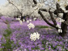 -江苏三台山国家森林公园