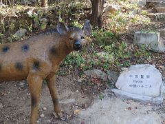-周口店北京人遗址公园