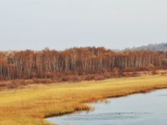-塞罕坝国家级自然保护区