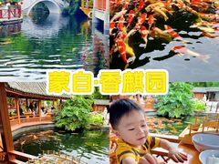 -香麒园·过桥米线·南湖雅宴