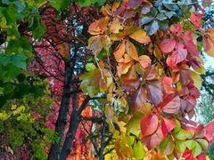 -辽宁大学(崇山校区)