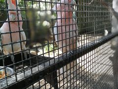 -费瑟代尔野生动物园