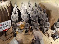 -成都泰迪熊博物馆