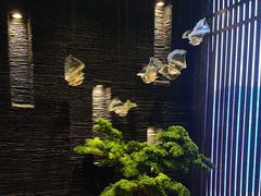 -上足·影院足道·SPA(红岭店)