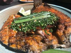 -滇越乘象云南餐厅(豆各庄店)