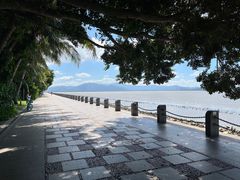 -深圳湾公园(南山区)
