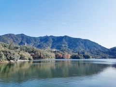 -深圳仙湖植物园